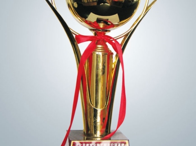 2000年泰州市梅蘭杯獎(jiǎng)