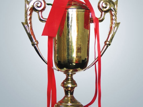 1998年獲江蘇省工程質(zhì)量揚(yáng)子杯獎